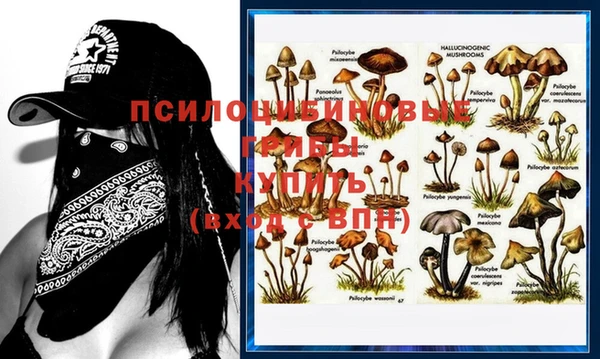 гашишное масло Мегион