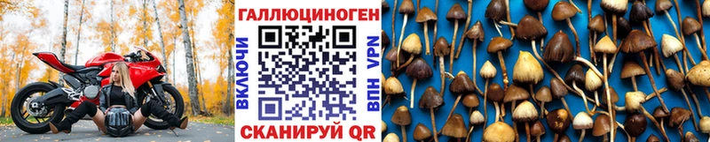 Галлюциногенные грибы Psilocybine cubensis  наркошоп  Тихвин 