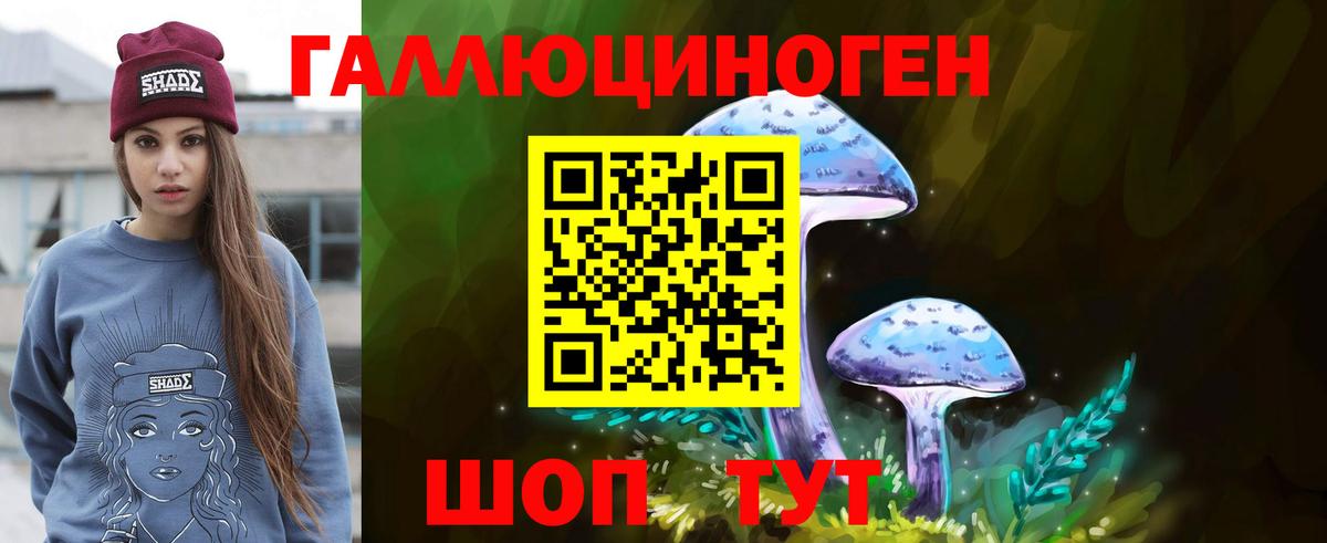 где купить наркоту  Псилоцибиновые грибы MAGIC MUSHROOMS  Вход с VPN  Галлюциногенные грибы мухоморы  Тихвин 