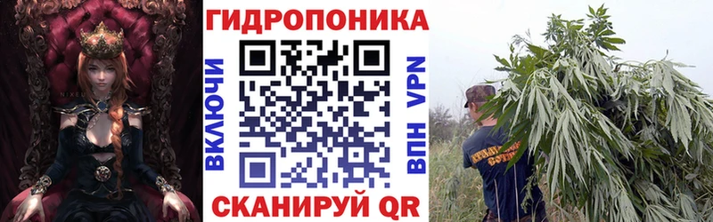 Шишки марихуана White Widow  KRAKEN как войти  Тихвин  купить наркотики цена 